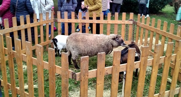 zviratka z chmelistne na adventu.jpg